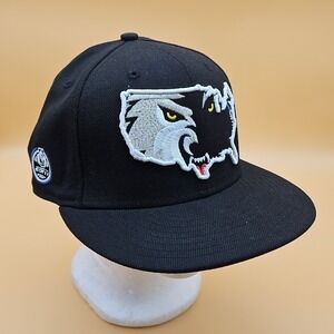 RARE Minnesota Timberwolves Hat Cap New Era Fitted Size 7 1/4 USA Map Logo ESPN